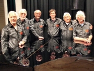 Mountain Village Jazzmen mountainvillagejaz 1 Mountain Village Jazzmen bergedorf